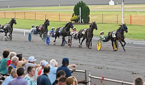 Harness Racing 2024 featured image
