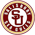 Salisbury Sea Gulls Logo